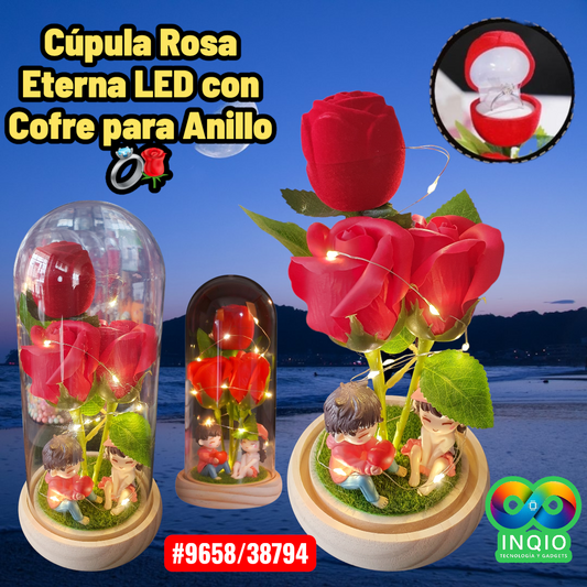 Cúpula Rosa Eterna LED con Cofre para Anillo. Regalo Romántico Premium