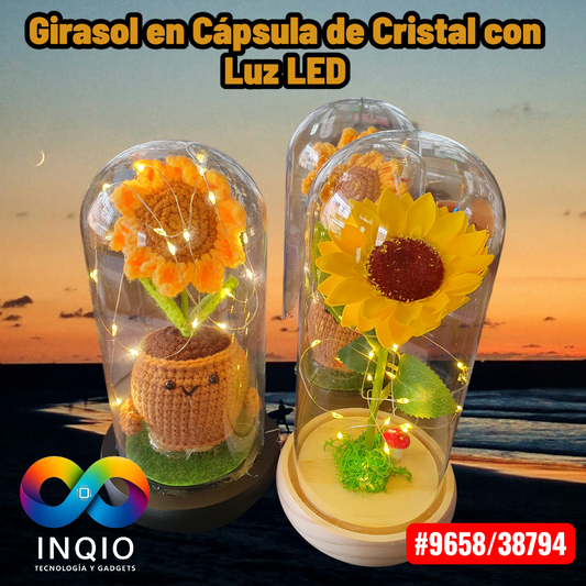 Girasoles Eternos con Luz LED en Cápsula de Cristal – Regalo Elegante y Duradero