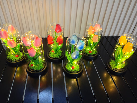 Cúpula Tulipanes Flores eternas con Luces LED . Acrílico Decorativo – Regalo Romántico